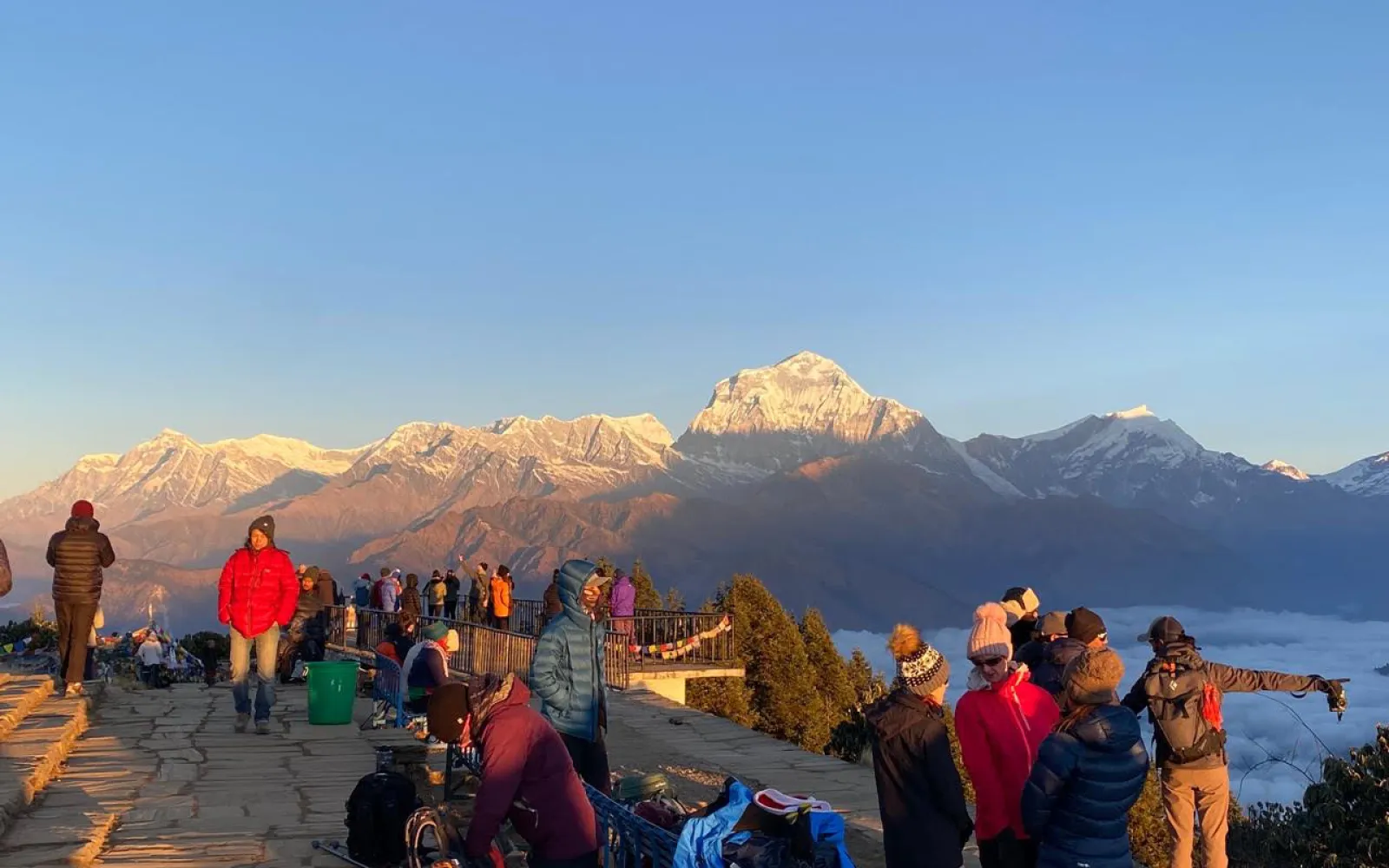 Best Tea Houses in Ghorepani Poon Hill